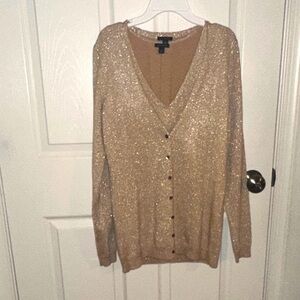 Ann Taylor Sparkling Beige Sleeveless Sweater
